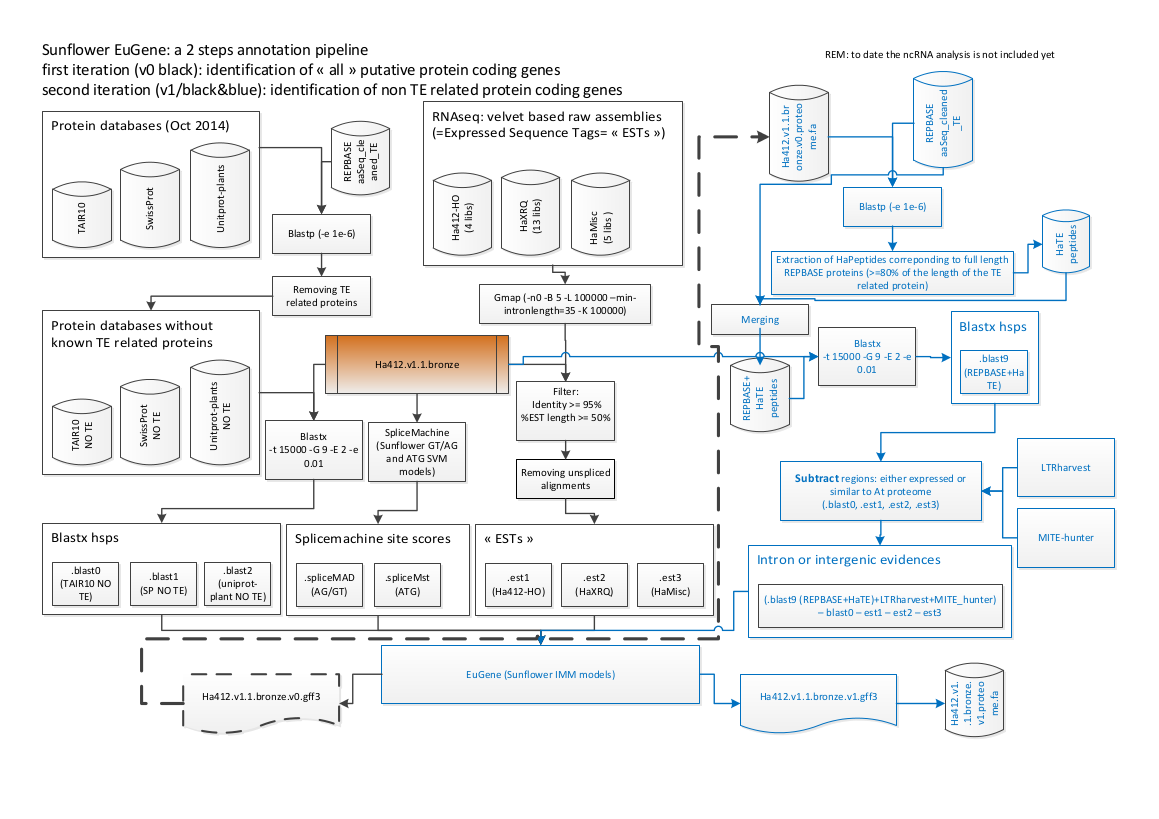 egn_Hannuus_pipeline-20141127